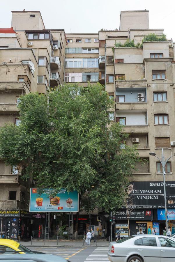 Petite Maison Sur Le Boulevard Bucharest Exterior photo